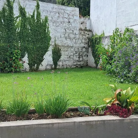 A Vista Dos Verdes *
